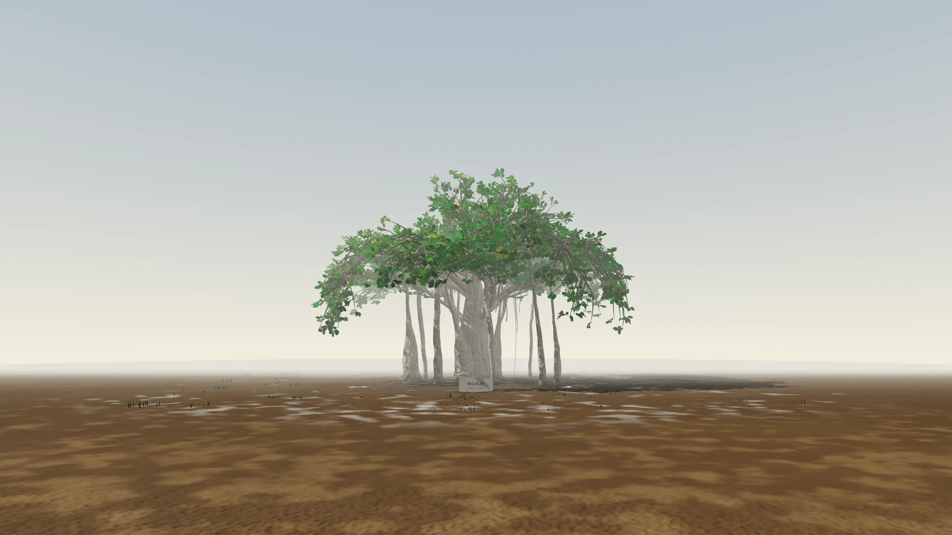 Rosie’s seed-grown banyan appearing at a distance through soft mist over the same stone-and-gravel grove.